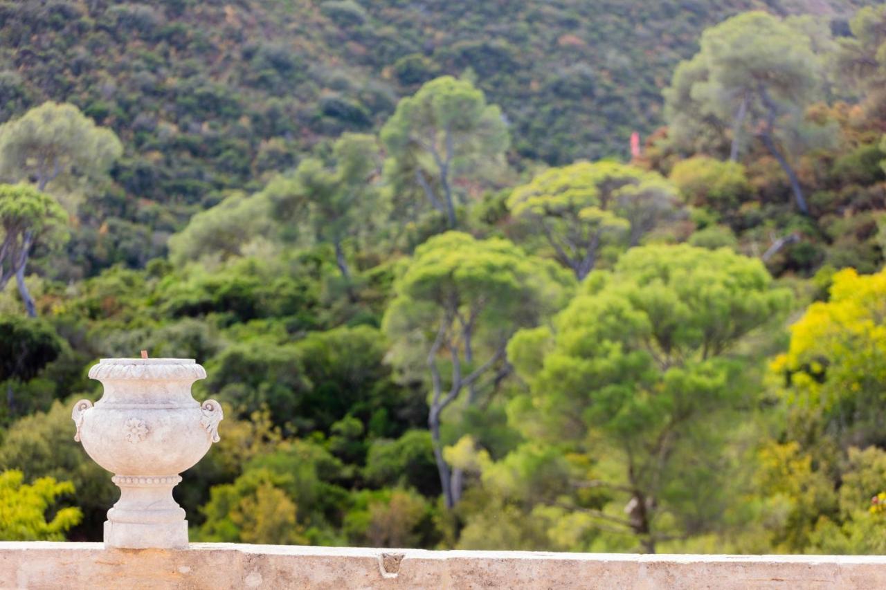 Chateau De Collias Luaran gambar